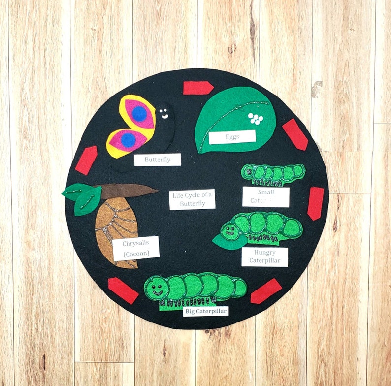 May include: A black felt circle with a colorful felt illustration of the life cycle of a butterfly. The illustration shows eggs, a small caterpillar, a hungry caterpillar, a big caterpillar, a chrysalis, and a butterfly.