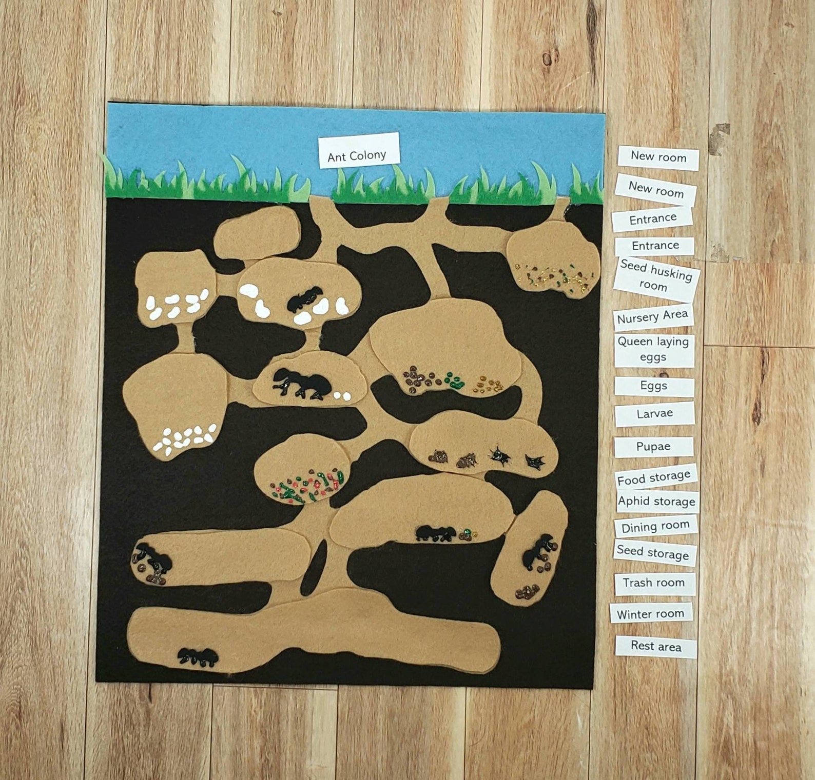 Ant Colony Felt Board Set Ant Habitat How Do Ants Live Etsy