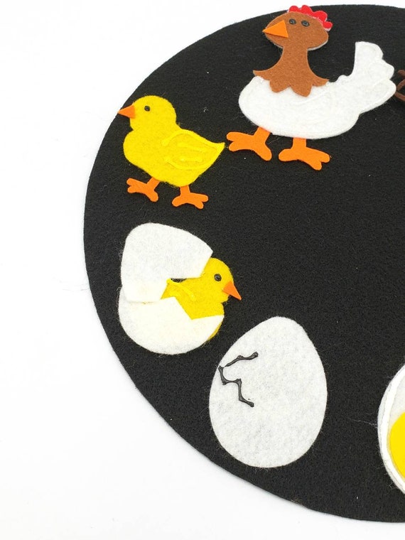 Bricolage Sur Le Cycle De Vie Du Poulet Le Cycle De Vie De La Poule