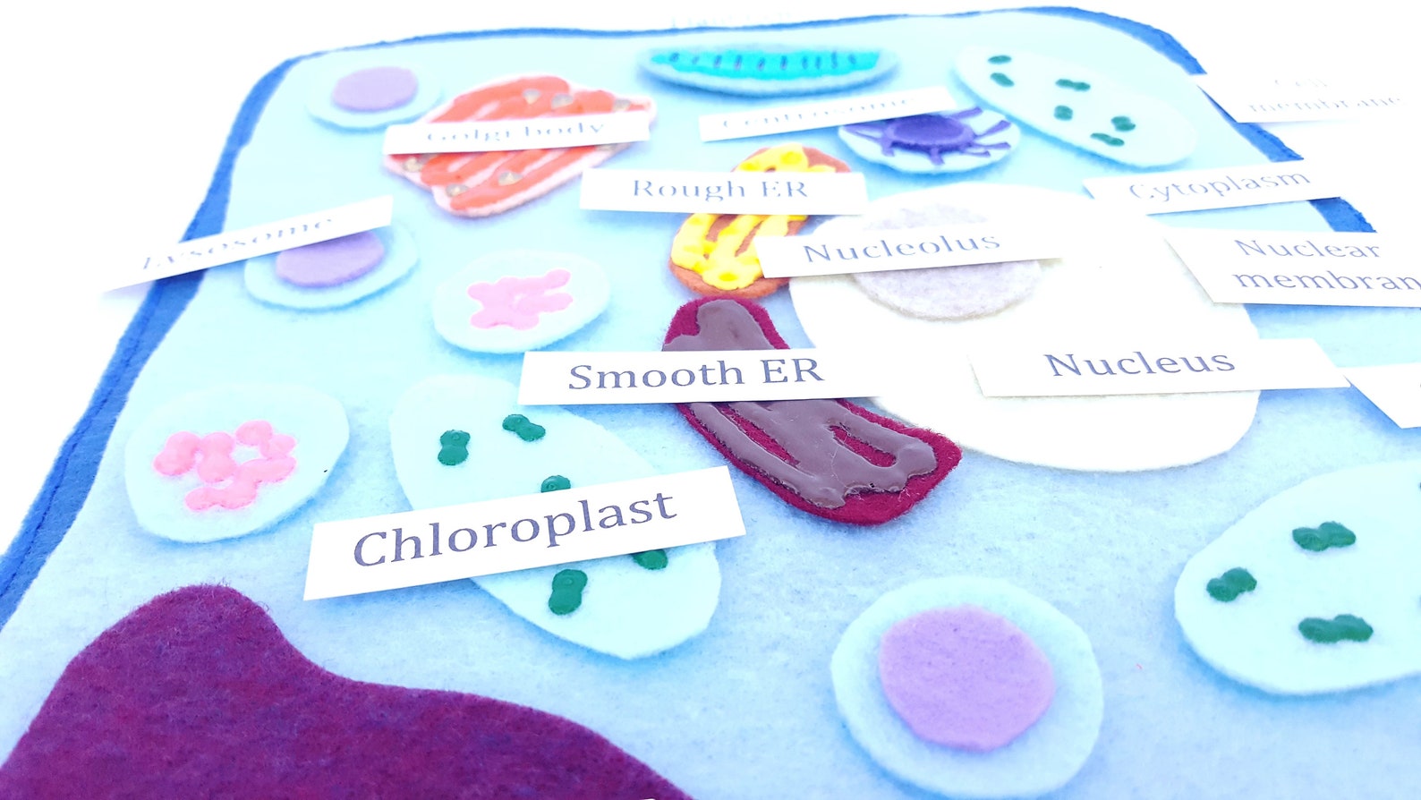 Plant Cell Felt Board Plant Cell Felt Set Plant Cell Etsy