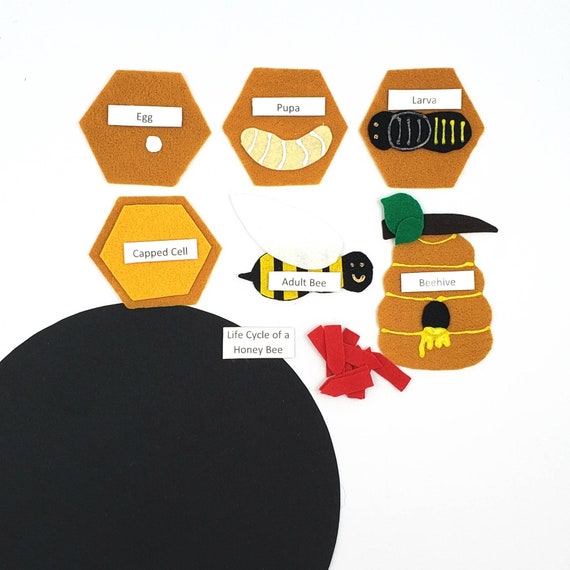 honey bee felt set Honey Bee Life Cycle life cycle felt board homeschool biology preschool science Felt Board Set montessori