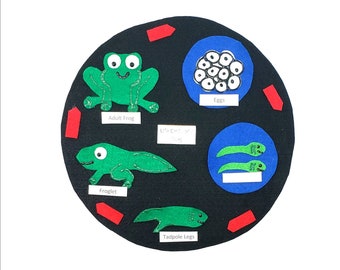Frog Life Cycle Felt Model  Set: Homeschool Science