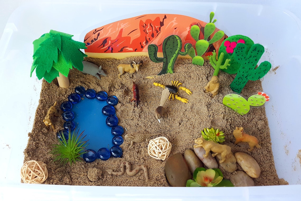 Desert Sensory Bin Desert Habitat Oasis Sensory Bin Oasis Etsy
