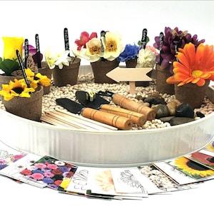 Contenedor sensorial Plant a Garden / 8 tipos de flores y tarjetas de clasificación / Plantas, ciencia, botánica / Jardinería en un mundo pequeño / Bandeja de tufo para plantas