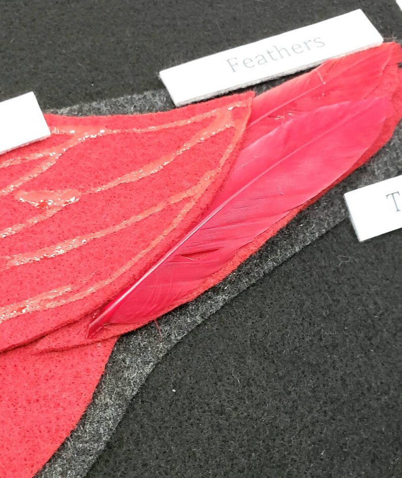 Felt set Parts of a Bird unit study Homeschool science Montessori biology Bird Anatomy felt board Twig and Daisy Science felt