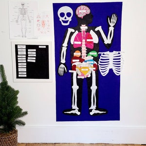 Felt Anatomy Set: Bones & Organs - Montessori Science