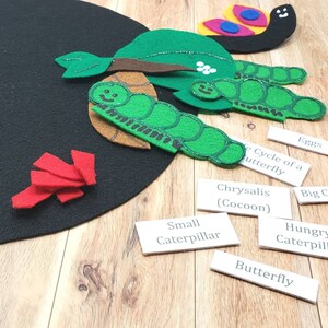 May include: Felt craft depicting the life cycle of a butterfly. The stages include eggs, small caterpillar, big caterpillar, chrysalis (cocoon), and butterfly. The felt pieces are arranged on a black felt background.