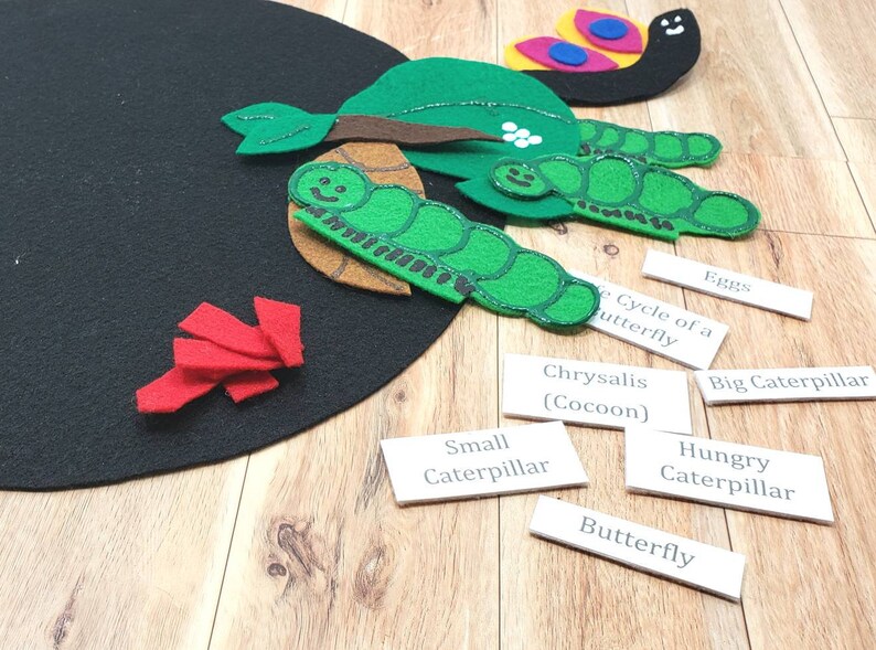 May include: Felt craft depicting the life cycle of a butterfly. The stages include eggs, small caterpillar, big caterpillar, chrysalis (cocoon), and butterfly. The felt pieces are arranged on a black felt background.