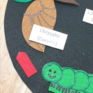 May include: A felt craft depicting the life cycle of a butterfly. The stages include egg, caterpillar, chrysalis (cocoon), and butterfly. The chrysalis is labeled "Chrysalis (Cocoon)".