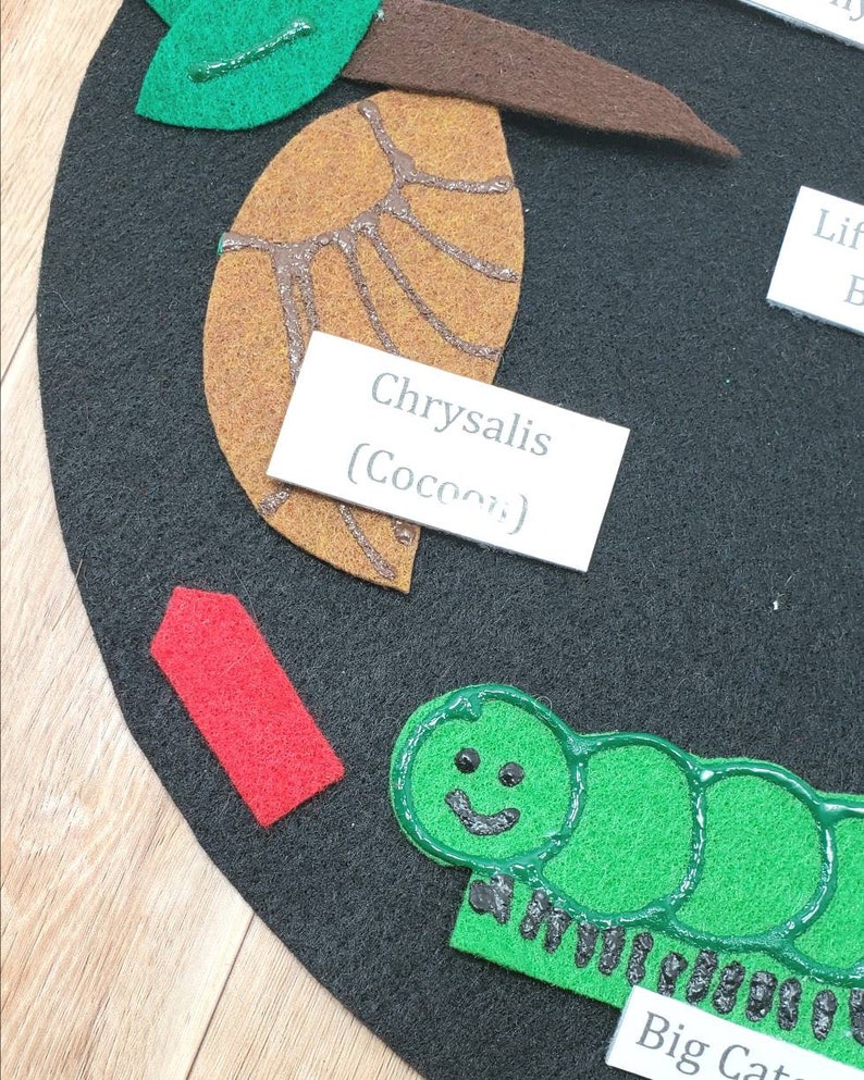 May include: A felt craft depicting the life cycle of a butterfly. The stages include egg, caterpillar, chrysalis (cocoon), and butterfly. The chrysalis is labeled "Chrysalis (Cocoon)".