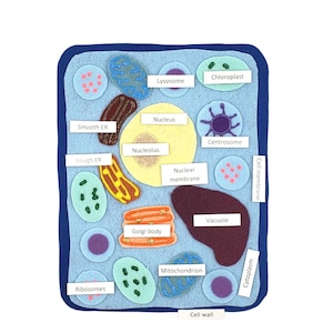 Plant Cell Felt Board Set: Homeschool Science Montessori Toy
