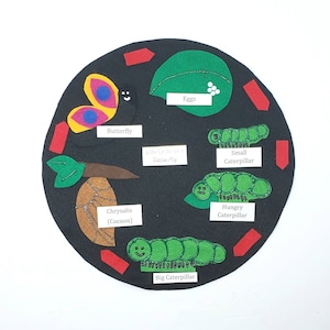 Butterfly Life Cycle, felt board, life cycle felt set, butterfly felt board,animal life cycle, montessori science | homeschool science