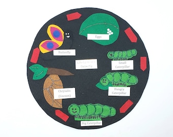 Butterfly Life Cycle Felt Model : Montessori Homeschool Science Set