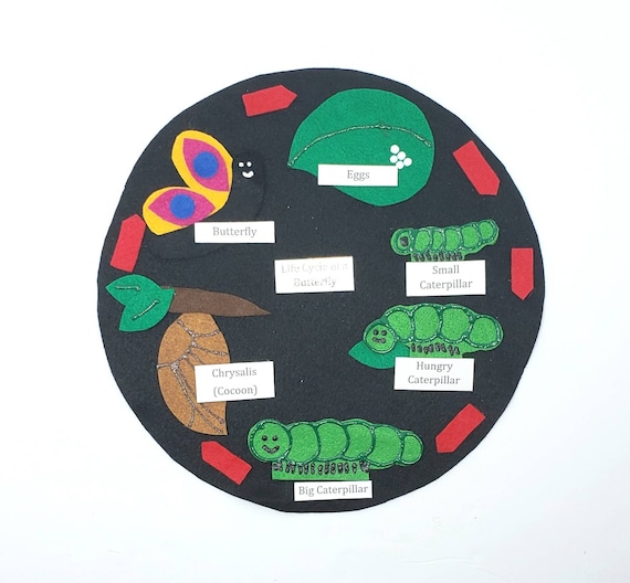 Butterfly Life Cycle Felt Model : Montessori Homeschool Science Set