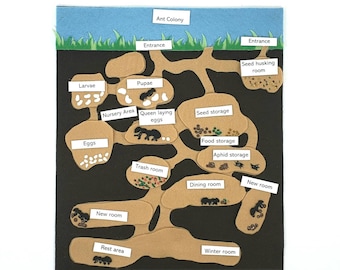 Felt Model Ant Colony Puzzle: Montessori Homeschool Biology Set