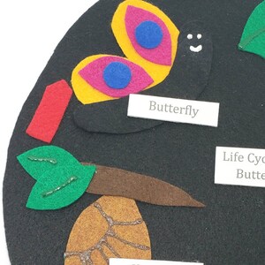 May include: A felt craft depicting the life cycle of a butterfly. The stages include egg, caterpillar, chrysalis, and butterfly. The butterfly is yellow, pink, and blue with a black body and a smiley face. The text "Butterfly" is written on a white label.