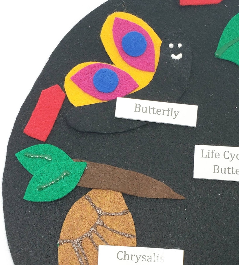 May include: A felt craft depicting the life cycle of a butterfly. The stages include egg, caterpillar, chrysalis, and butterfly. The butterfly is yellow, pink, and blue with a black body and a smiley face. The text "Butterfly" is written on a white label.