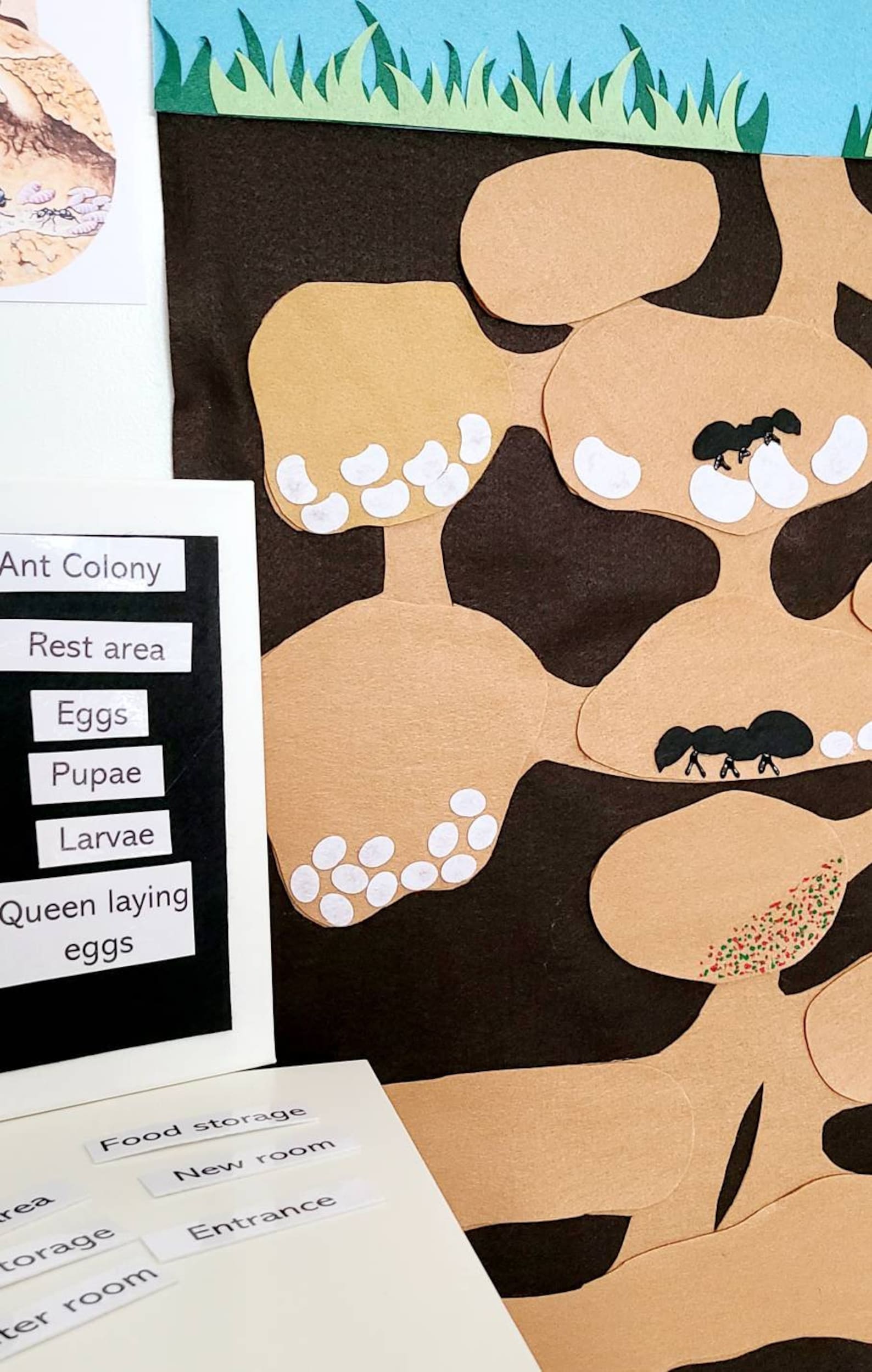 Ant Colony Felt Board Set Ant Habitat Wall Sized Felt Etsy