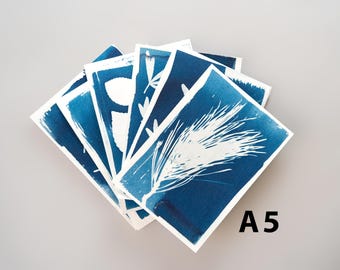 A5 Cyanotypie Papier Refill: Sonnendruck, Botanische Kunst