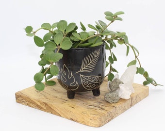 Plant Pot, Footed Black and Tan Leaf Planter, Polkadot Ceramic Planter Pot