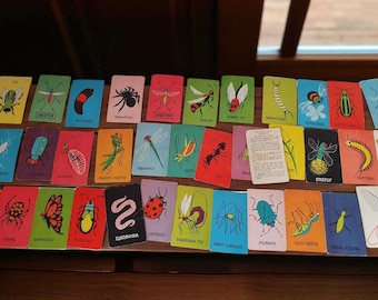 Cartes à jouer Skeeter vintage manquantes, boîte des années 1950 YLBT1