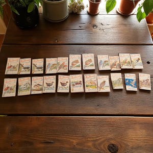 Vintage Redheads Matchbox Labels Australian Birds Circa 1920s BLAT1