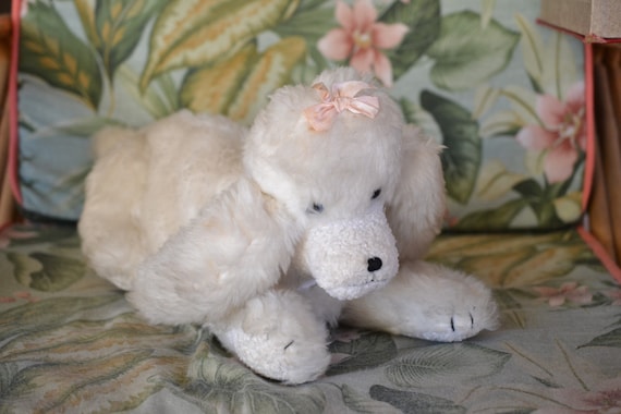 toy poodles blackburn