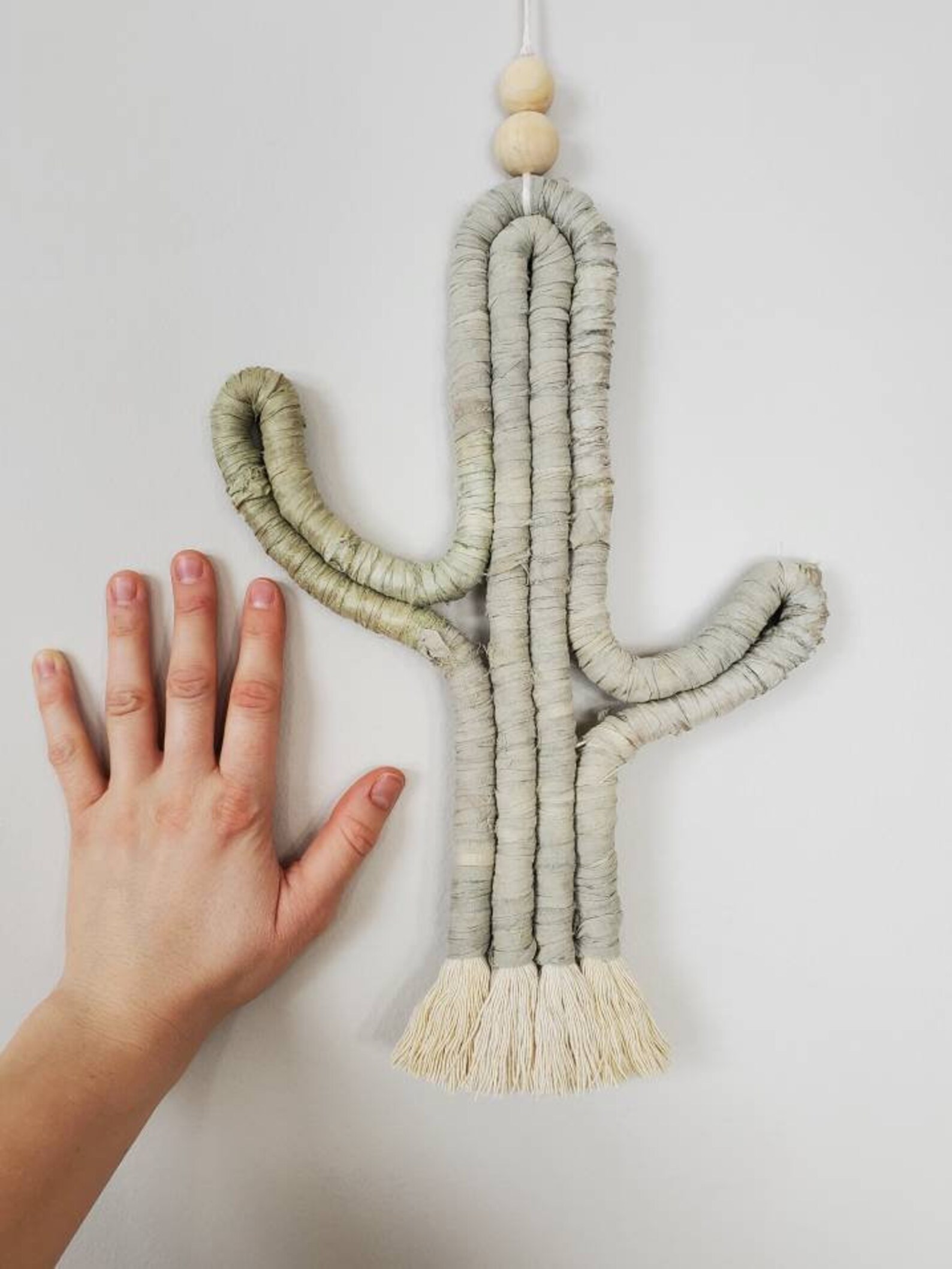 Macrame Cactus Cactus Wall Hanging Boho Decor Fiber Etsy