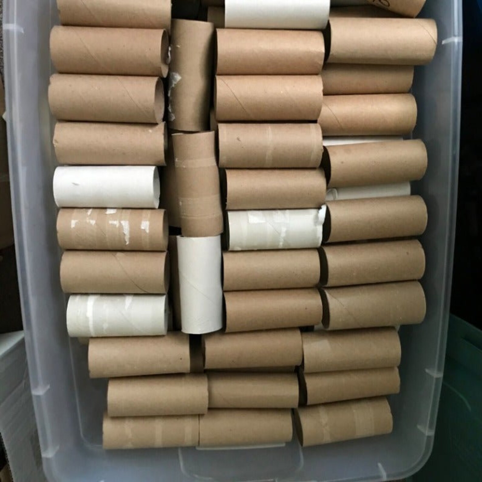 1244 stock essay 08 image