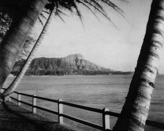 Diamond Head and Coconuts, Waikiki, Hawaii (Black and White Historical Photograph, Giclée Print)