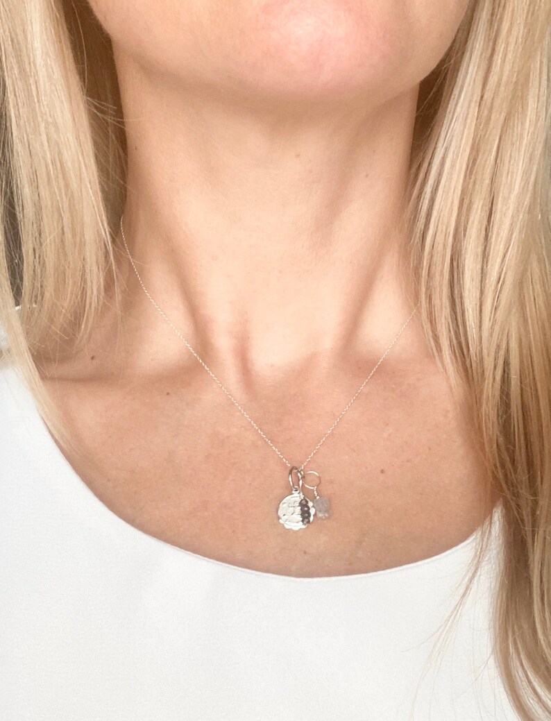 Sagittarius Zodiac Necklace Labradorite Sterling Silver Necklace Spinel