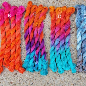 May include: Six skeins of hand-dyed yarn in various colour gradients, labelled A through F. The skeins are arranged horizontally, with each skein featuring a different colour combination. The yarn is a mix of orange, purple, blue, yellow, and brown.