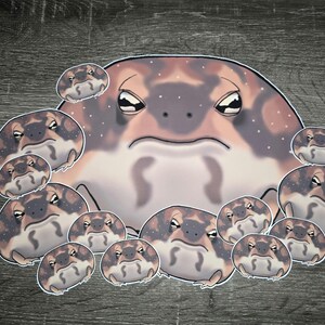 May include: A set of 11 frog stickers, featuring a large, grumpy-looking frog with brown and white markings, surrounded by 10 smaller frogs with similar markings. The stickers are all round and have a glossy finish.