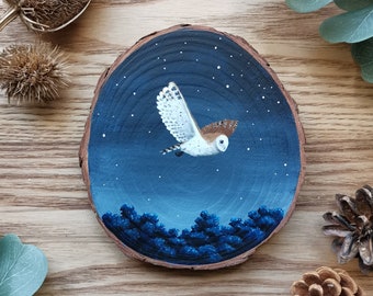 Hand painted Barn owl. Wooden Wall plaque. Barn owl painting. Woodland wall art. Original artwork. Owl painting. Mothers day.  Wooden owl