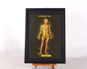 Poster di anatomia umana, medico stampa di biologia umana, anatomia parete arte, Poster, corpo umano stampa, Poster medica, anatomia regalo stampa medica,
