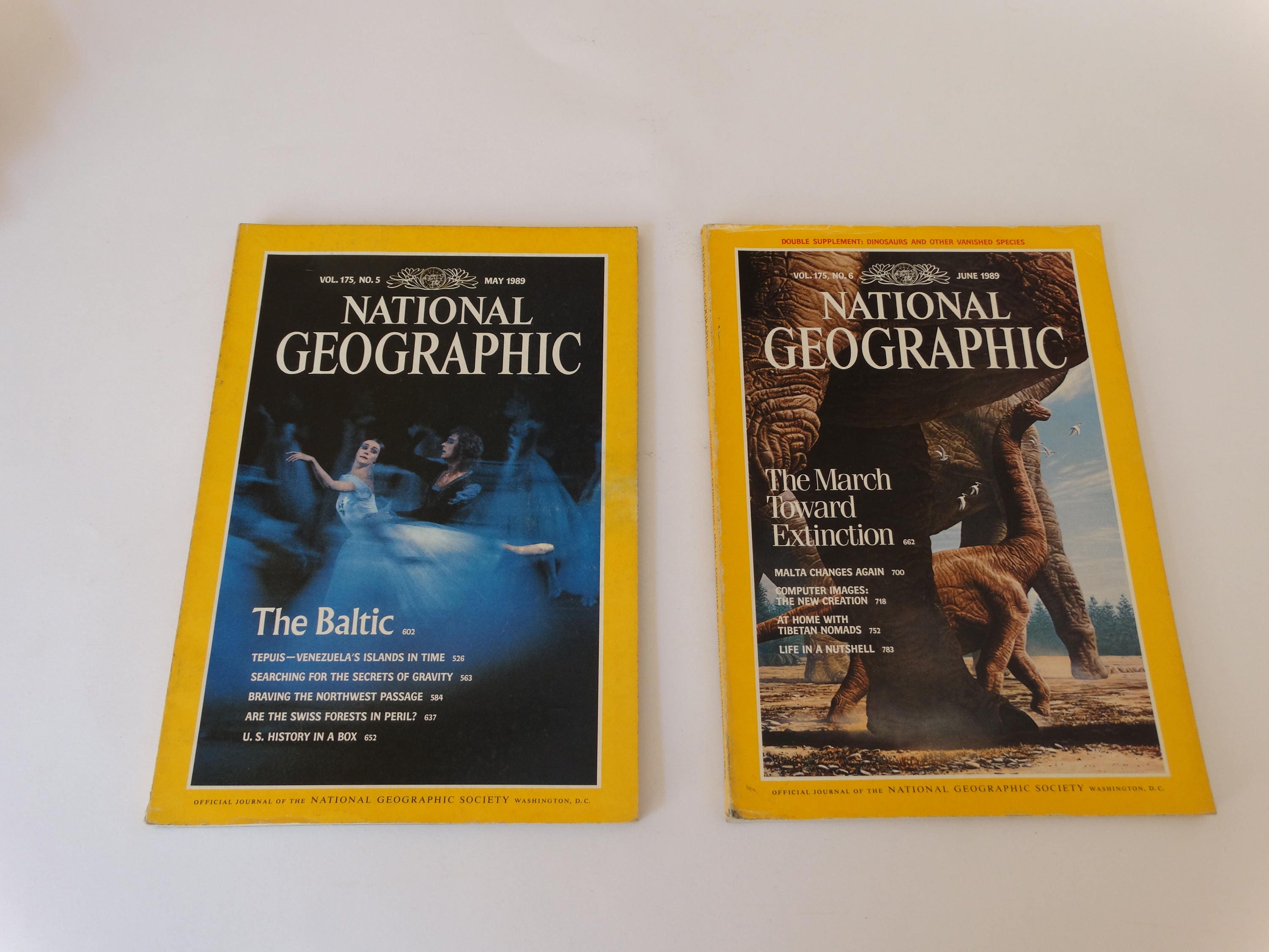 National Geographic英語版 1989-90年 ケース付　美品 1989, National Geographic Magazine, Nat Geo 1989, Nat Geo Magazine