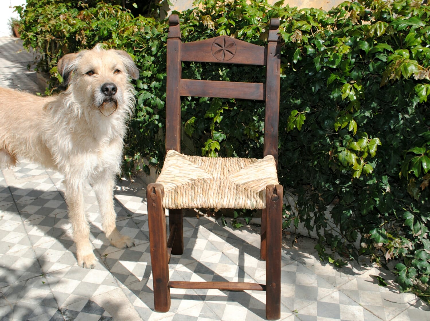 Antique chairs - Etsy 日本
