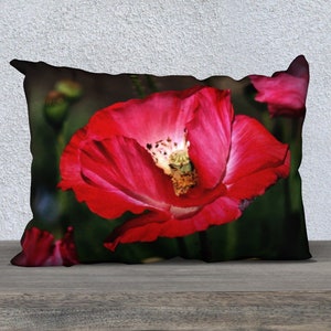 Pillow Cover • Red Poppies Design • Evocative Image of Red Poppy Blossoms • 20x14 or 18x18 • Polyester Velveteen