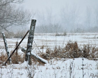 May include: A weathered wooden fence post with barbed wire, partially covered in snow, stands in a field during a snowstorm. The background is blurred and white with snow falling.