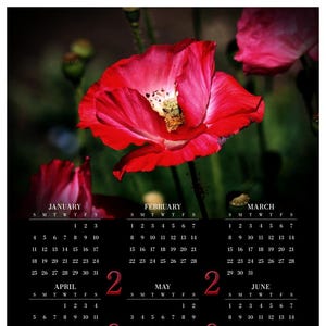 Red Poppies • 2026 Year at a Glance Wall Calendar • Yearly Calendar • Size: 14.25x23.25 • Semi-gloss Poster Paper