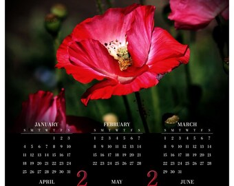 Red Poppies • 2026 Year at a Glance Wall Calendar • Yearly Calendar • Size: 14.25x23.25 • Semi-gloss Poster Paper