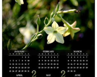 Nicotiana • 2026 Year at a Glance Wall Calendar • Yearly Calendar • Size: 14.25x23.25 • Semi-gloss Poster Paper