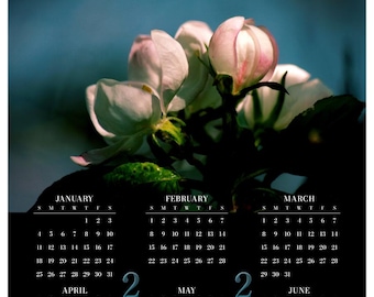 Apple Tree Flower Buds • 2026 Year at a Glance Wall Calendar • Yearly Calendar • Size: 14.25x23.25 • Semi-gloss Poster Paper