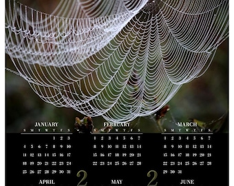 Beadwork • 2026 Year at a Glance Wall Calendar • Yearly Calendar • Size: 14.25x23.25 • Semi-gloss Poster Paper