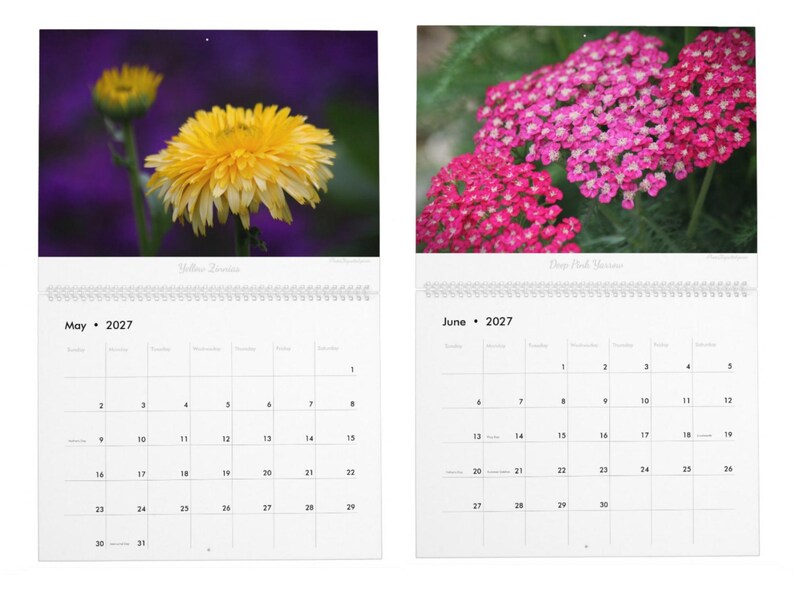Floral Flourish • 2027 Monthly Wall Calendar • Wall Art • Intimate Portraits of Flowers • Floral Nature • Fine Art Photography image 4