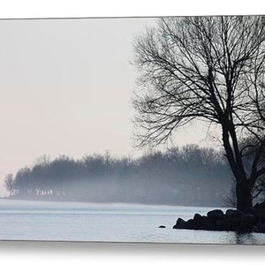 May include: A misty lake scene with a lone bare tree silhouetted against a pale sky. The shoreline is lined with trees and the water is calm and reflective.