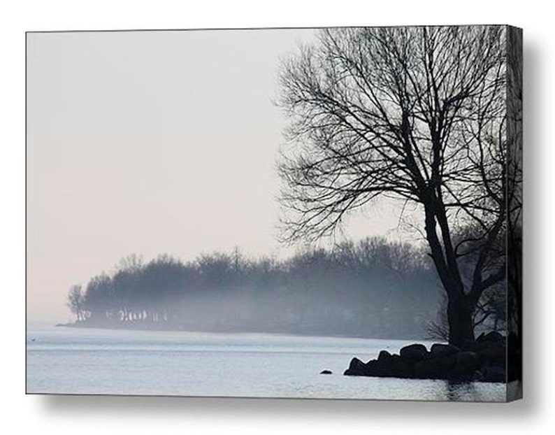 May include: A misty lake scene with a lone bare tree silhouetted against a pale sky. The shoreline is lined with trees and the water is calm and reflective.