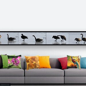Fine Art Photography • Panoramic Wall Art • Mates for Life • Multi-Image Panel of Pair of Canada Geese • Winter Nature • High Res Print image 3
