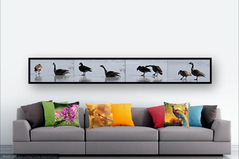 Fine Art Photography • Panoramic Wall Art • Mates for Life • Multi-Image Panel of Pair of Canada Geese • Winter Nature • High Res Print image 3