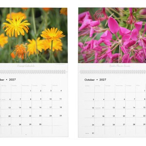 Floral Flourish • 2027 Monthly Wall Calendar • Wall Art • Intimate Portraits of Flowers • Floral Nature • Fine Art Photography image 6